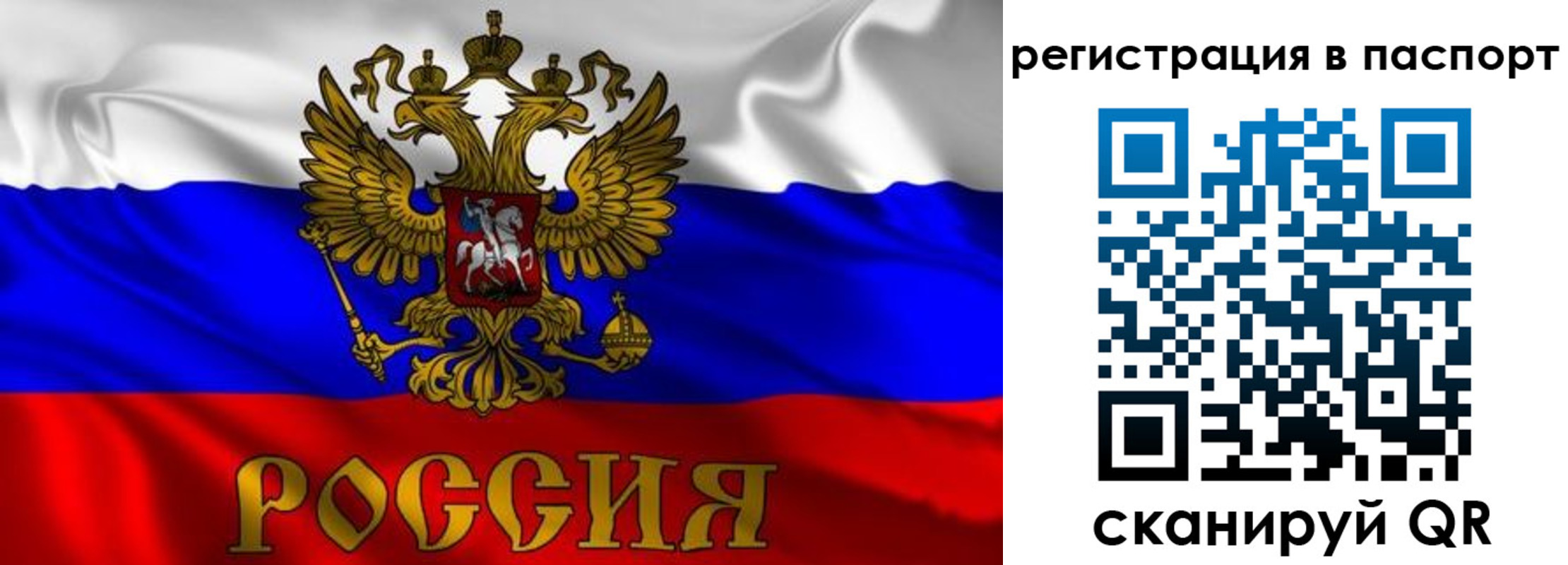 найти адрес прописки в Балашихе